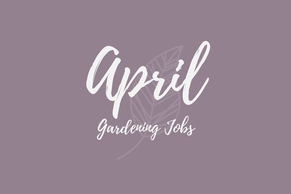 Gardening Jobs for April