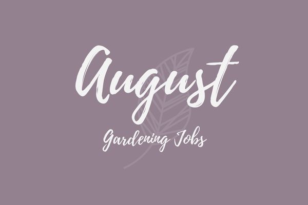 Gardening Jobs for August