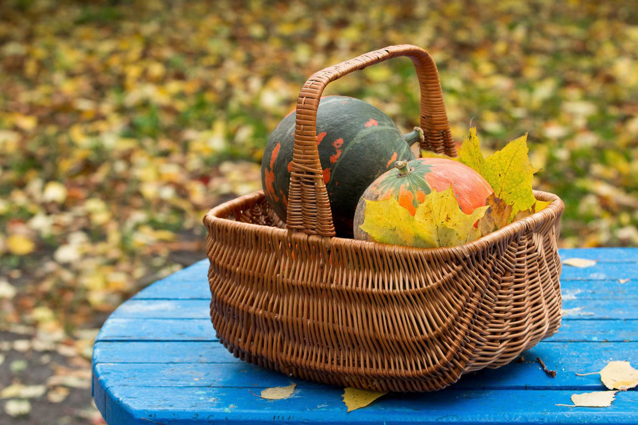 Autumn harvest