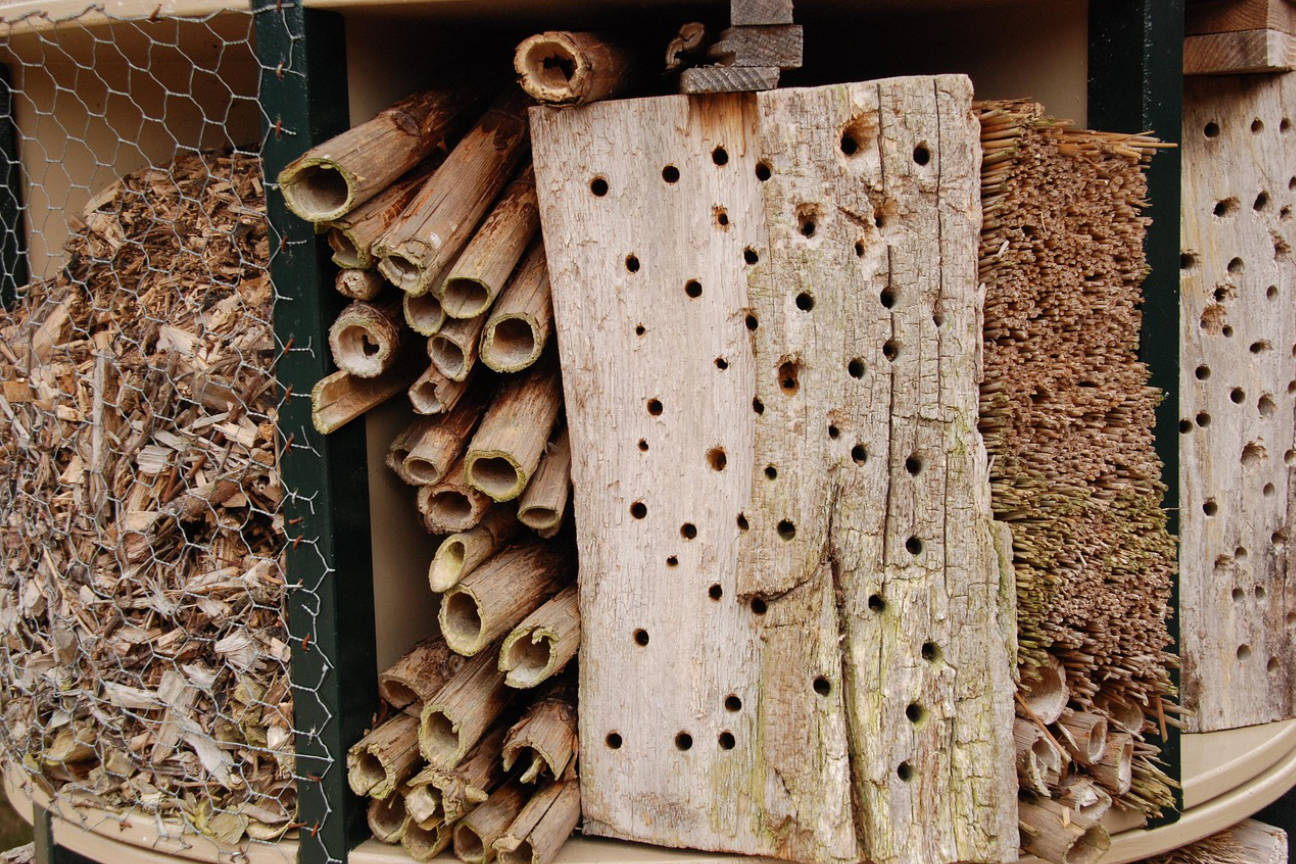 Bug hotel
