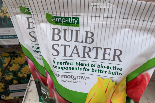 Do bulbs need a head start?