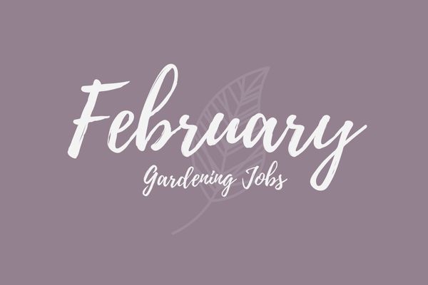 Gardening Jobs for February
