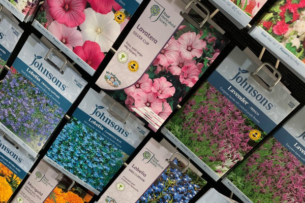 Sowing Flowers