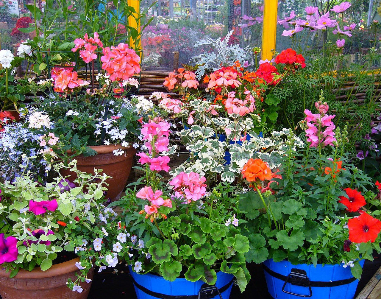 Flower pots