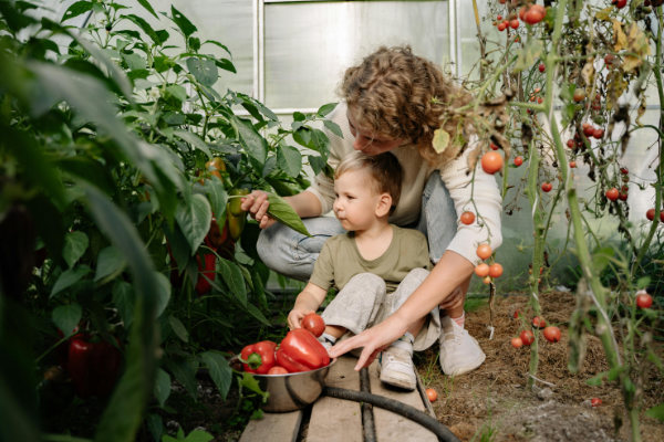 Gardening with Kids: Fun and educational projects for every season