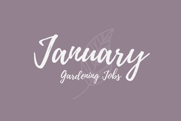 Gardening Jobs for January