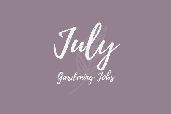 Gardening Jobs for July