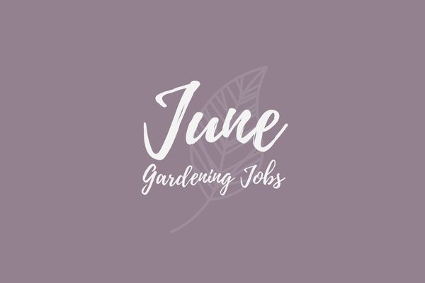 Gardening Jobs for June
