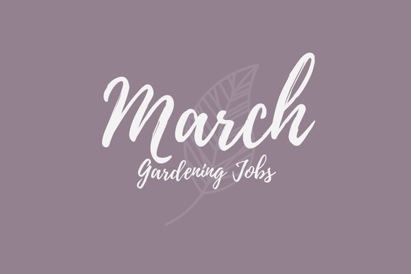 Gardening Jobs for March