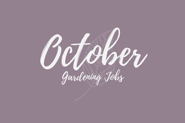 Gardening Jobs for October