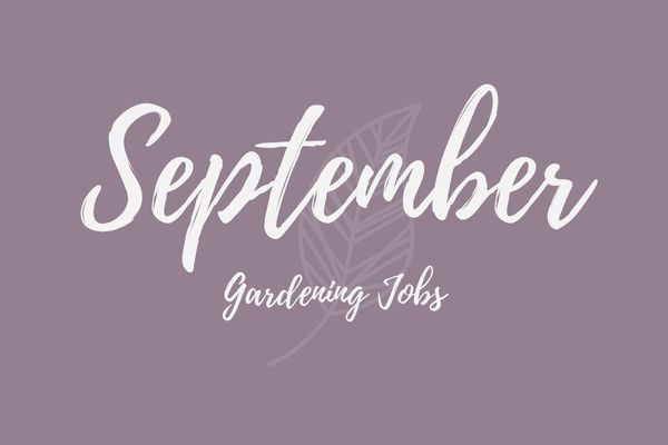 Gardening Jobs for September